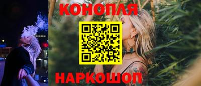 стаф Кинель