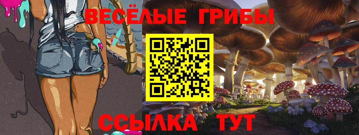 Псилоцибиновые грибы мицелий  закладки  Псилоцибиновые грибы Magic Shrooms  Кузнецк  Вход с VPN 